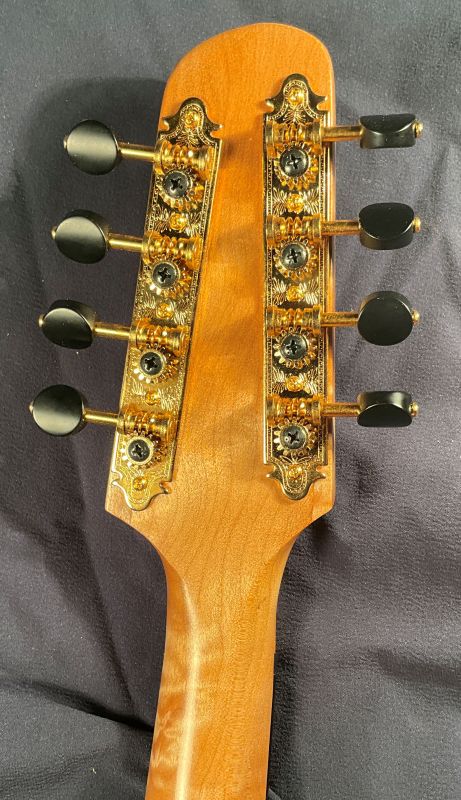 laughlin mandolin